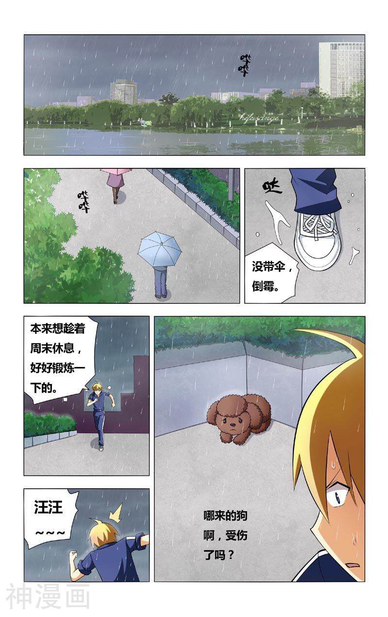 我才不会被女孩子欺负呢韩漫全集-第5话 误会  狗 以及雨天无删减无遮挡章节图片 